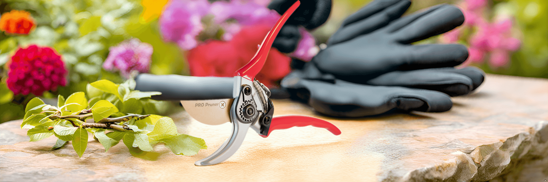 Ultimate Guide to Fall Garden Care: Clean Up & Prep for Winter